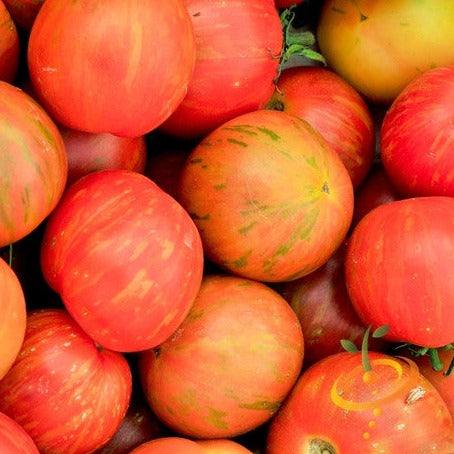 Buy Tigerella tomato seeds online in the USA! | Red-orange streaks!
