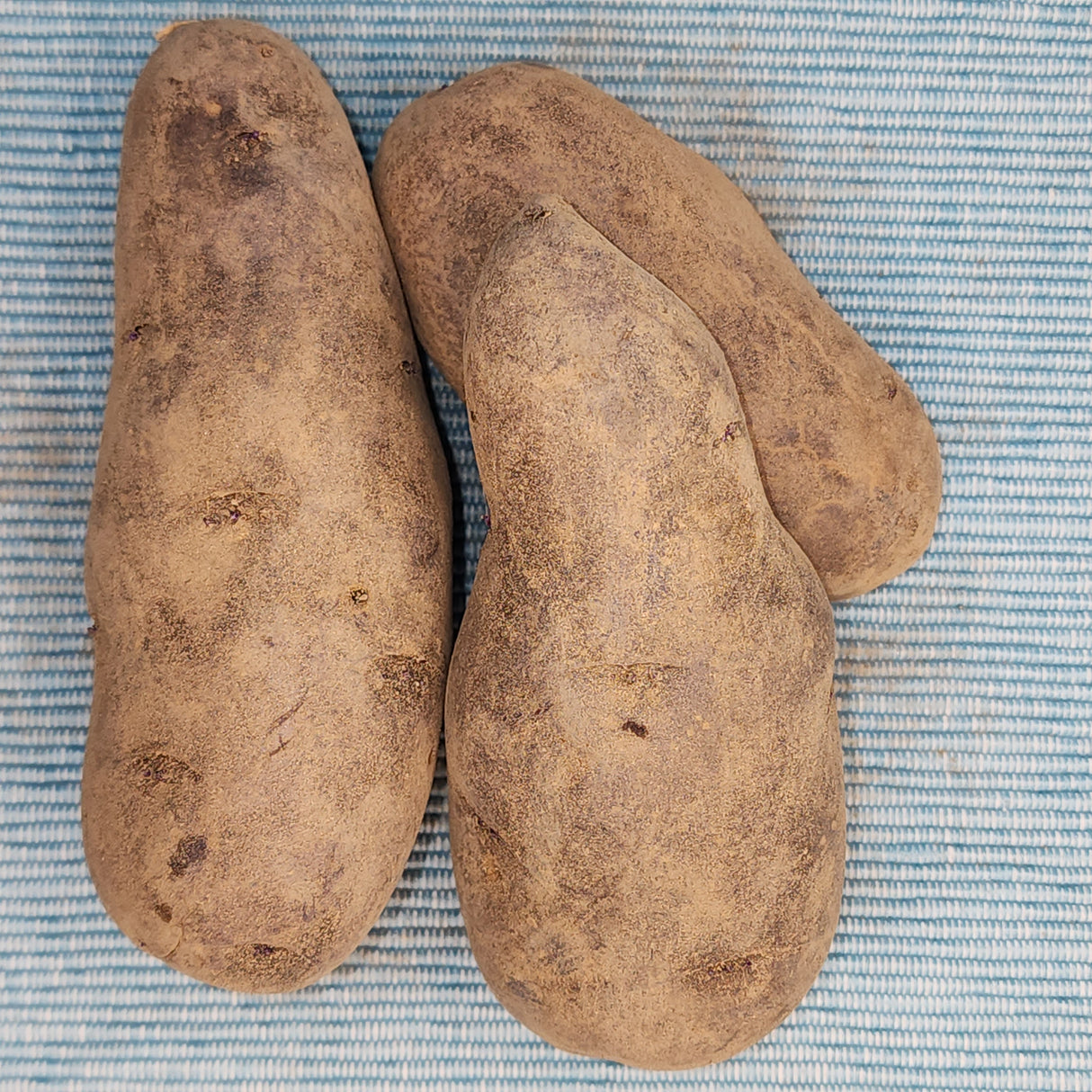 Potato, Fingerling (Late-Season) - Purple Peruvian