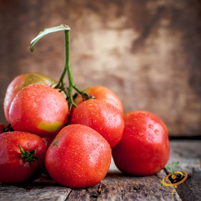 Cluster of ripe Bonny Best tomatoes with water droplets on rustic wooden surface