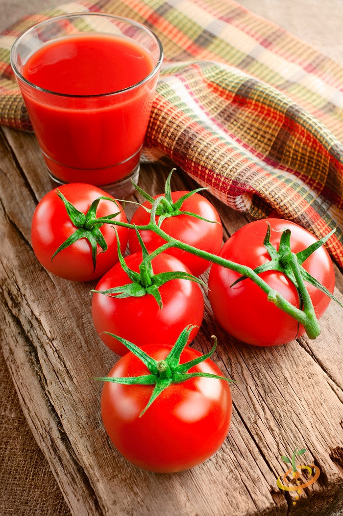 Bonny Best Tomato ripe red tomatoes on vine with glass of tomato juice on wooden surface