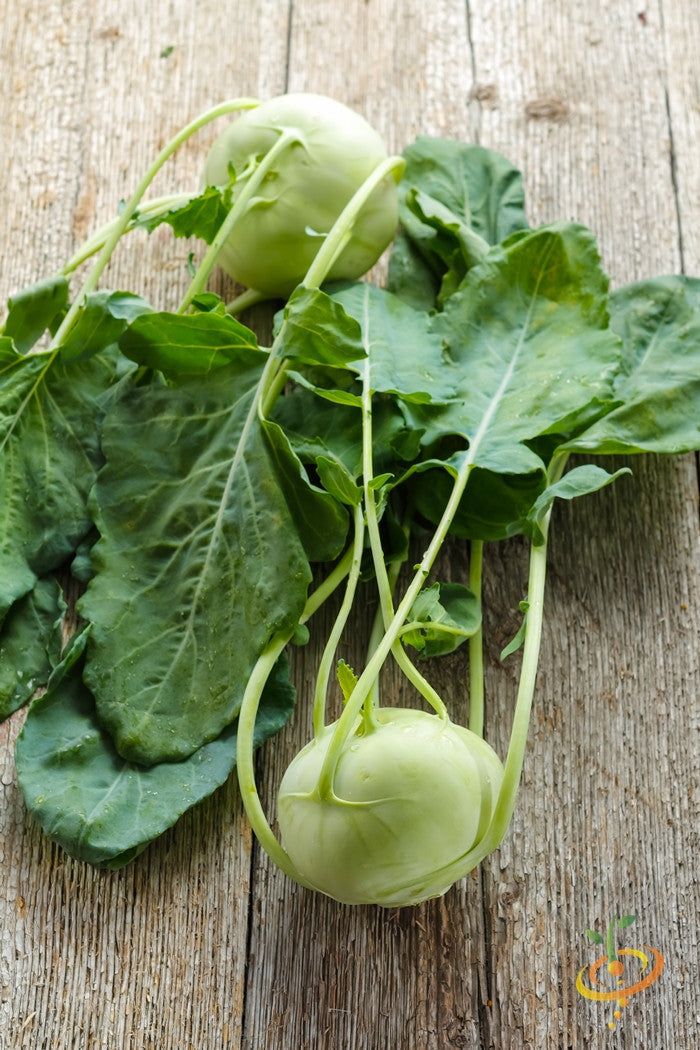 White Vienna Kohlrabi seeds from SeedsNow, shown in a clear image with fresh green leaves and bulbous white vegetable parts.