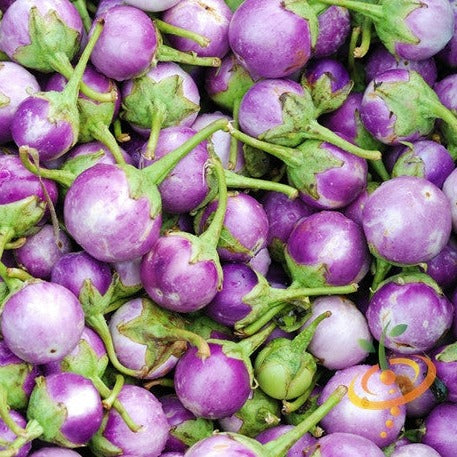 Shop Round Mauve Eggplant seeds for sale online in the USA. Tennis ball size, compact, white flesh. Open pollinated USA-quality Heirloom NON-GMO organic seeds & more