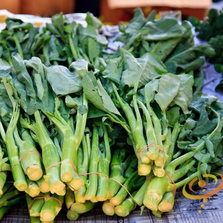 Buy Southern Georgia Collard Greens seeds online in the USA! Popular!