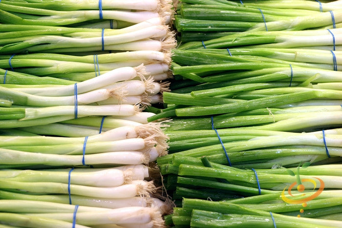 Buy Evergreen Bunching Scallion Onion (Allium cepa) seeds from USA now