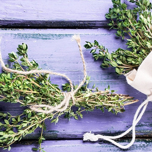Bundles of fresh thyme herb tied with twine on a purple wooden surface