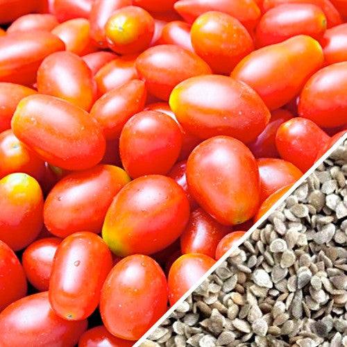 Red Pear Tomato Seeds | Close-up of ripe Red Pear Tomatoes with tomato seeds in the corner