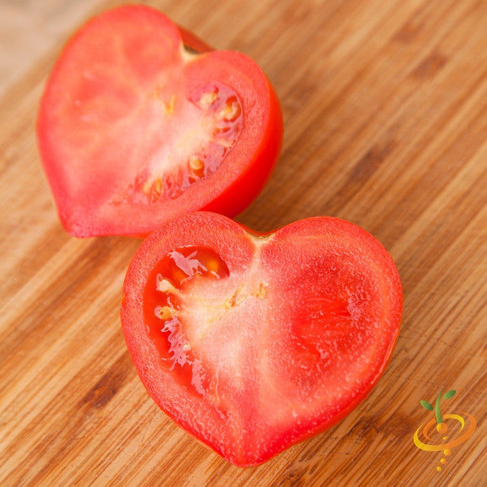 Pink Oxheart indeterminate tomato SeedsNow seeds in a garden setting, showcasing ripe, heart-shaped tomato fruits on green vines.