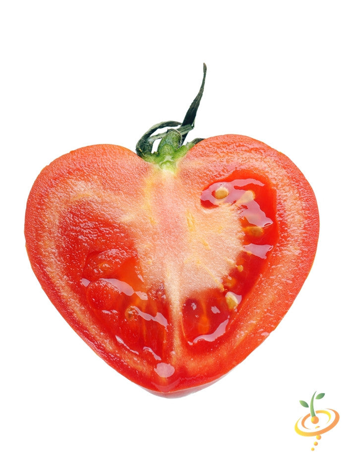 Pink Oxheart indeterminate tomato seeds from SeedsNow, showing vibrant pink tomato fruits and lush green foliage.