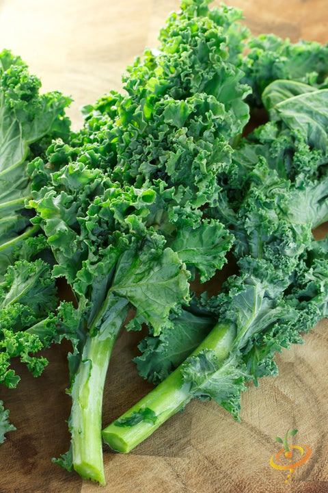 *FREE* All-in-1 Kale Greens Seed Kit