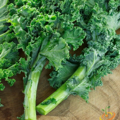*FREE* All-in-1 Kale Greens Seed Kit