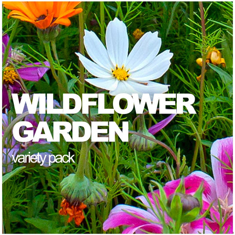 All-in-One Wildflower & Pollinator Scatter Garden Variety Pack - SeedsNow.com