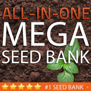 ALL-in-ONE MEGA Seed Bank