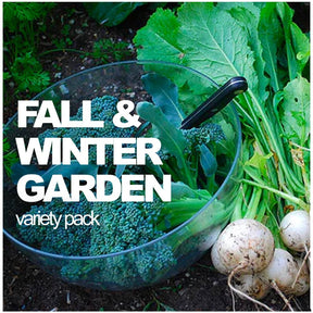 Fall and Winter Variety Pack | A Seed Collection for Cold Season | All-in-One Fall and Winter Seed Variety Pack by SeedsNow-SeedBanks, showcasing a diverse selection of seed packets for seasonal planting.