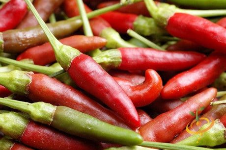 Close-up of vibrant red and green Bird's Eye Chili Peppers with smooth skin and pointed tips