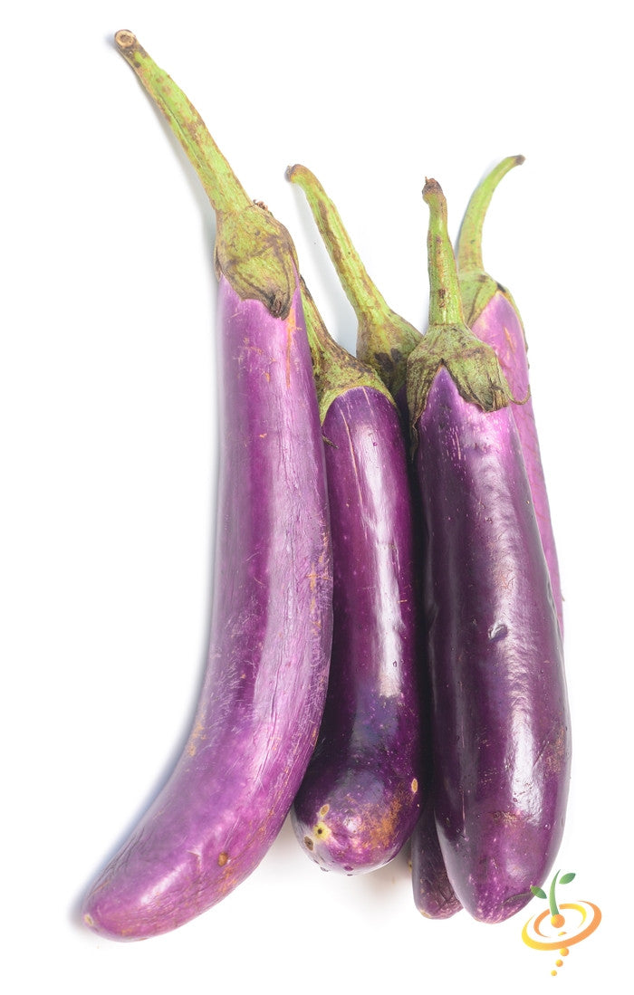 Eggplant - Long Ping Tung.