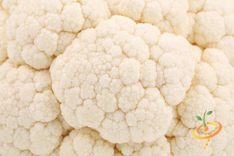 Close-up of fresh white snowball cauliflower head for cauliflower seeds packaging