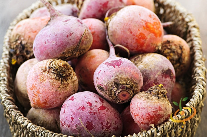 Beet - Chioggia.