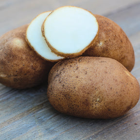 Russet Norkotah potato seed from SeedsNow-Potatoes, showing fresh, healthy mid-season potato seed tubers for planting.